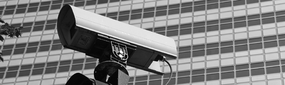 True Security Consultant Ltd
